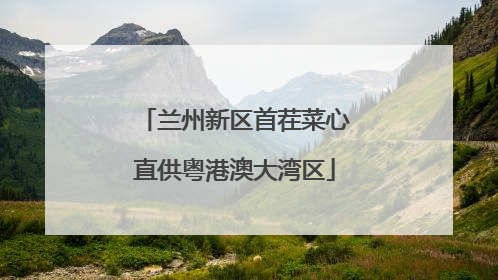 兰州新区首茬菜心直供粤港澳大湾区