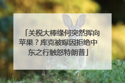 关税大棒缘何突然挥向苹果？库克被曝因拒绝中东之行触怒特朗普