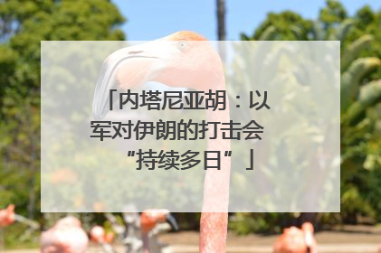 内塔尼亚胡：以军对伊朗的打击会“持续多日”