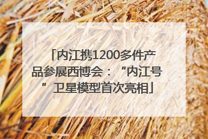 内江携1200多件产品参展西博会：“内江号”卫星模型首次亮相