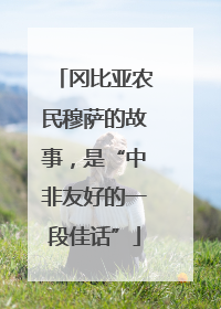 冈比亚农民穆萨的故事，是“中非友好的一段佳话”