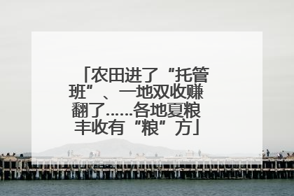 农田进了“托管班”、一地双收赚翻了……各地夏粮丰收有“粮”方