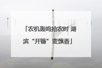 农机轰鸣抢农时 湖滨“开镰”麦飘香
