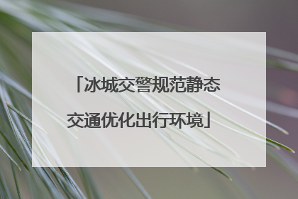 冰城交警规范静态交通优化出行环境