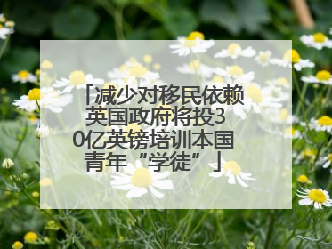减少对移民依赖 英国政府将投30亿英镑培训本国青年“学徒”