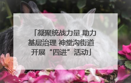 凝聚统战力量 助力基层治理 神堂沟街道开展“四进”活动