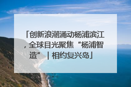 创新浪潮涌动杨浦滨江，全球目光聚焦“杨浦智造”｜相约复兴岛