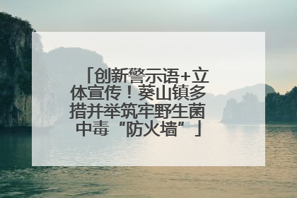 创新警示语+立体宣传！葵山镇多措并举筑牢野生菌中毒“防火墙”