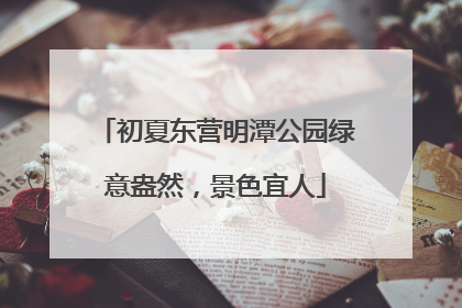 初夏东营明潭公园绿意盎然，景色宜人