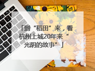 到“稻田”来，看杭州上城20年来“光阴的故事”