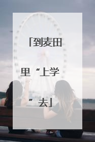 到麦田里“上学”去