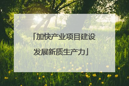 加快产业项目建设 发展新质生产力