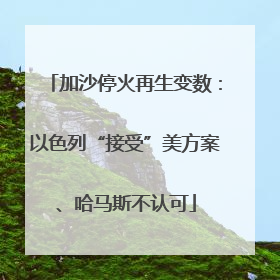 加沙停火再生变数：以色列“接受”美方案、哈马斯不认可