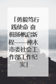 勇毅笃行践使命 奋楫扬帆启新程——神木市委社会工作部工作纪实