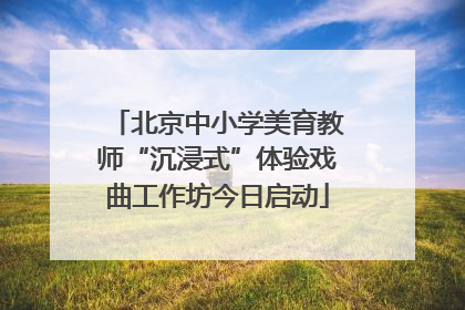 北京中小学美育教师“沉浸式”体验戏曲工作坊今日启动