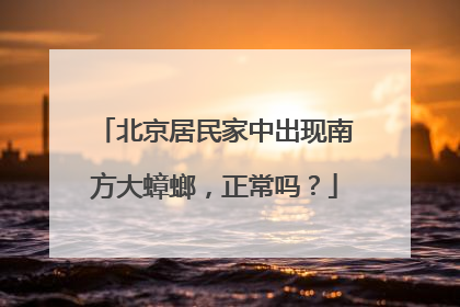 北京居民家中出现南方大蟑螂,正常吗?
