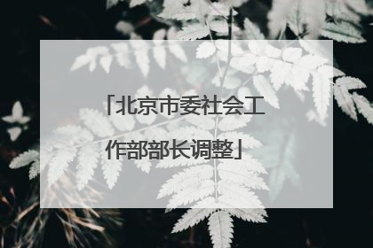 北京市委社会工作部部长调整