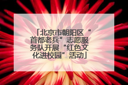 北京市朝阳区“首都老兵”志愿服务队开展“红色文化进校园”活动