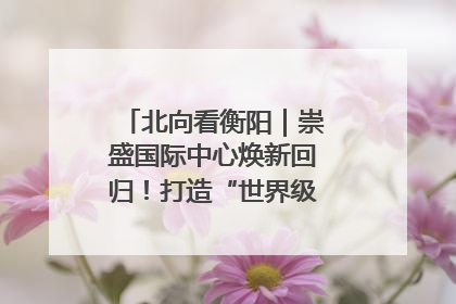 北向看衡阳｜崇盛国际中心焕新回归！打造“世界级美食主题公园”