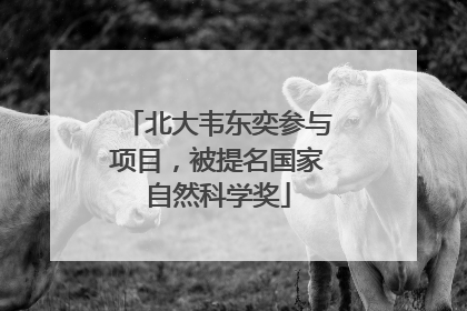 北大韦东奕参与项目，被提名国家自然科学奖