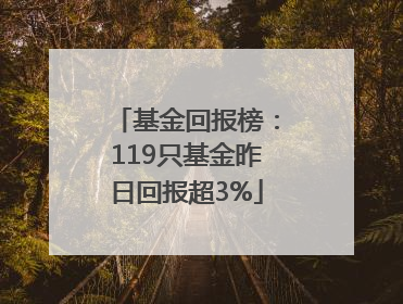 基金回报榜：119只基金昨日回报超3%