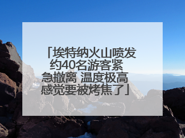 埃特纳火山喷发 约40名游客紧急撤离 温度极高感觉要被烤焦了