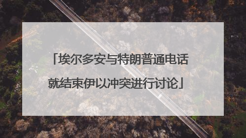 埃尔多安与特朗普通电话 就结束伊以冲突进行讨论