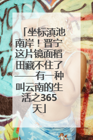 坐标滇池南岸！晋宁这片镜面稻田藏不住了——有一种叫云南的生活之365天