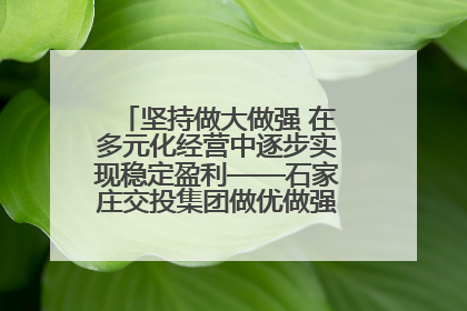 坚持做大做强 在多元化经营中逐步实现稳定盈利——石家庄交投集团做优做强典型报道之三