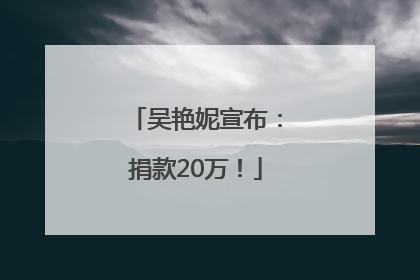 吴艳妮宣布：捐款20万！