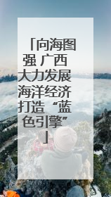 向海图强 广西大力发展海洋经济打造“蓝色引擎”