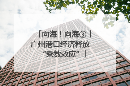 向海！向海③丨广州港口经济释放“乘数效应”