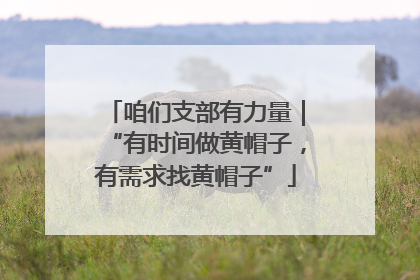 咱们支部有力量｜“有时间做黄帽子，有需求找黄帽子”