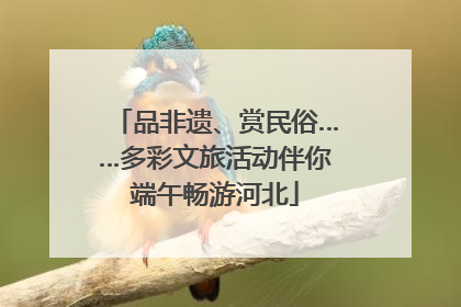 品非遗、赏民俗……多彩文旅活动伴你端午畅游河北