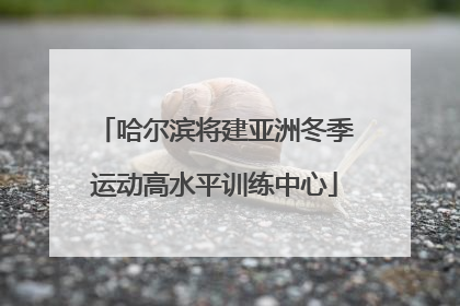 哈尔滨将建亚洲冬季运动高水平训练中心