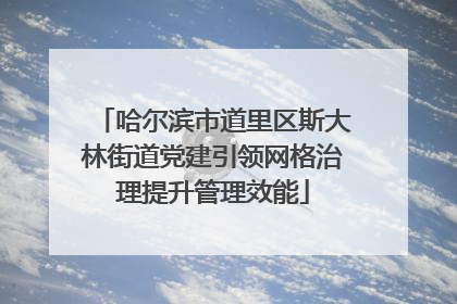 哈尔滨市道里区斯大林街道党建引领网格治理提升管理效能