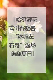哈尔滨花式引客避暑 “冰城左右哥”返场嗨翻夏日