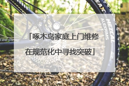 啄木鸟家庭上门维修在规范化中寻找突破