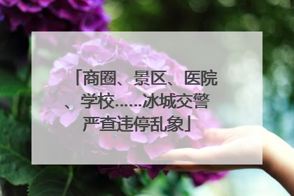 商圈、景区、医院、学校……冰城交警严查违停乱象