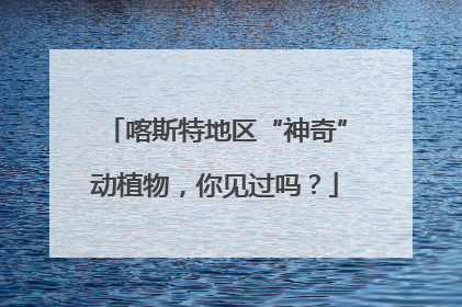 喀斯特地区“神奇”动植物，你见过吗？