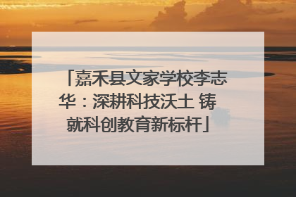 嘉禾县文家学校李志华：深耕科技沃土 铸就科创教育新标杆
