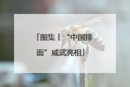 图集︱“中国排面”威武亮相