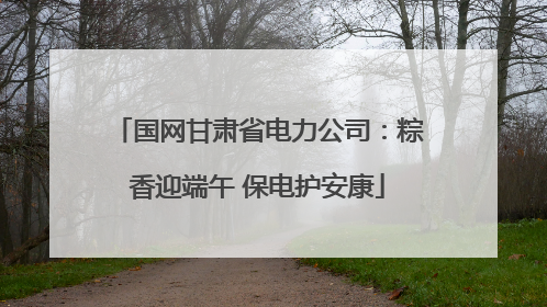 国网甘肃省电力公司：粽香迎端午 保电护安康