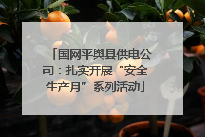 国网平舆县供电公司：扎实开展“安全生产月”系列活动