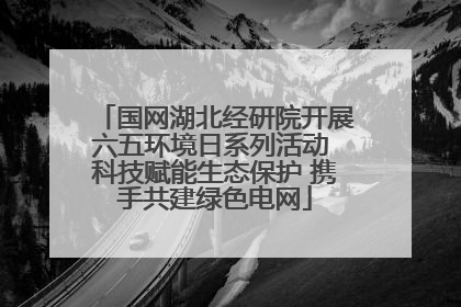 国网湖北经研院开展六五环境日系列活动 科技赋能生态保护 携手共建绿色电网
