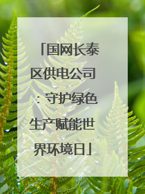 国网长泰区供电公司：守护绿色生产赋能世界环境日