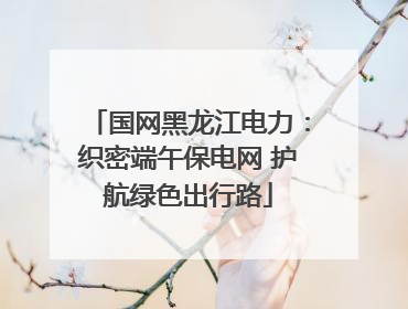 国网黑龙江电力：织密端午保电网 护航绿色出行路