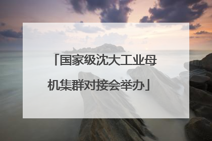 国家级沈大工业母机集群对接会举办