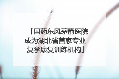 国药东风茅箭医院成为湖北省首家专业复学康复训练机构