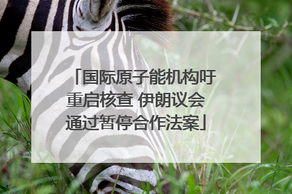 国际原子能机构吁重启核查 伊朗议会通过暂停合作法案
